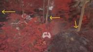All three locks can be seen when you parkour up to the Paint Cage's platform (Image via Sportskeeda Gaming || Kepler Interactive)